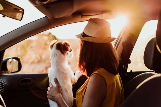 Is Now the Right Time to Sell Your Car in a Hot Market?