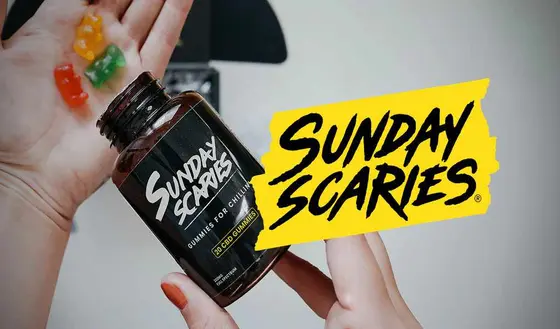 12 Insights to Enhance Your Wellness Journey with Sunday Scaries