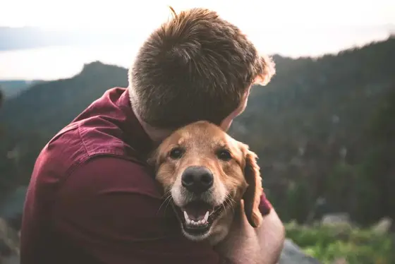Why Sustainable Pet Products Are on the Rise in 2026