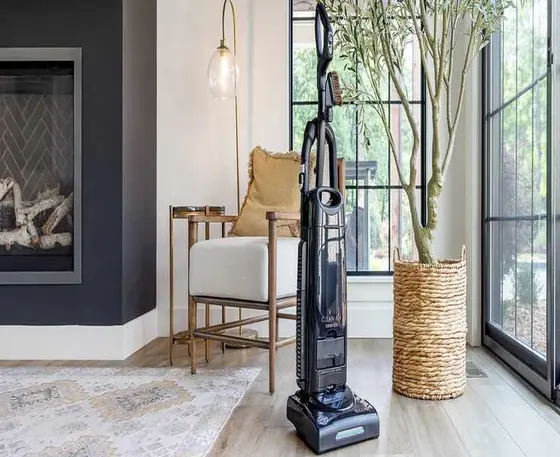 Uncovering the Power of Riccar Vacuums in Your Home