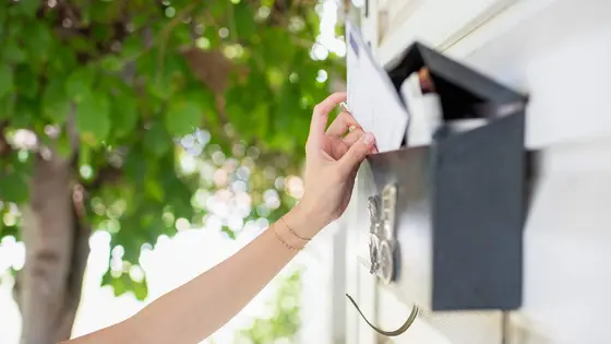 Organize Mail Effortlessly with These 7 Tips from the Experts