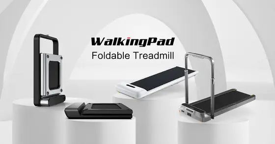 WalkingPad or BC Strength? Here's What Each Does Best