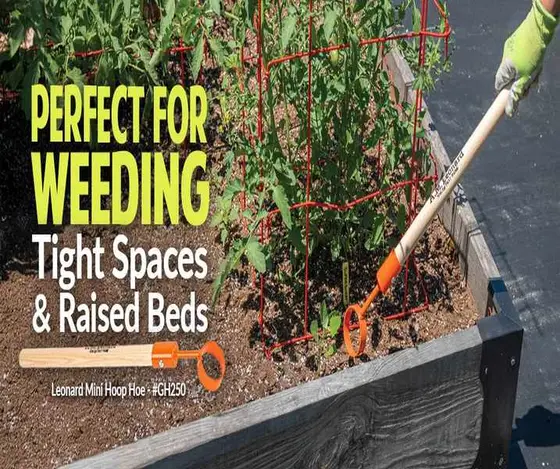 Gardener's Edge: A Closer Look at Your Backyard Needs