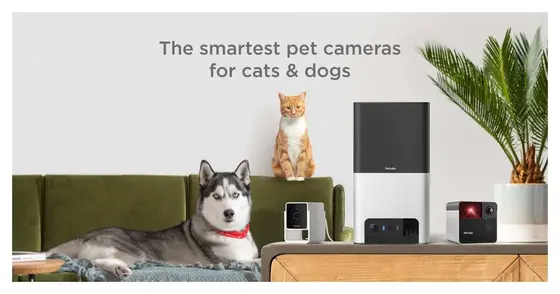 Where Pet Care Is Headed — and Who's Leading