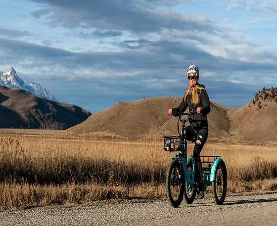 Navigating the Freedom of Electric Tricycles with Mooncool