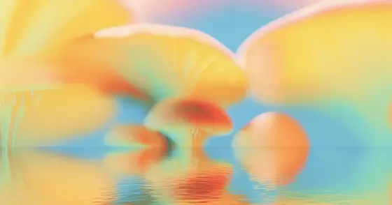 Exploring the Future of Supplements: Flowdose Leads the Way