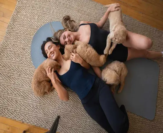 Puppysphere 2026: Enhance Wellness with Puppy Yoga