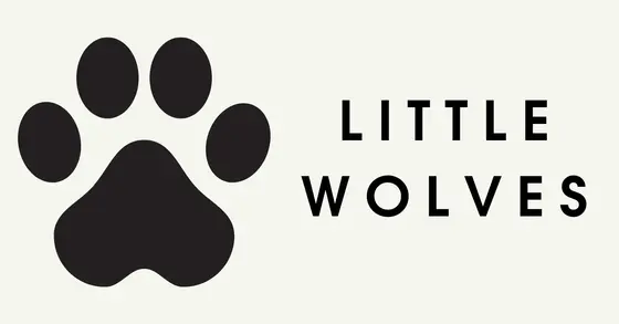 Navigating the Pet Products Boom: What’s Hot Right Now