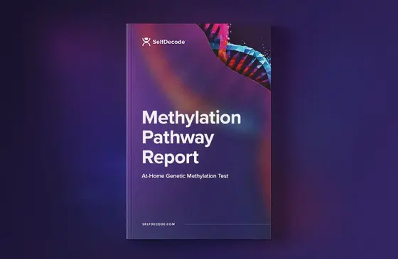 SelfDecode: A Personal Journey into Genetic Health