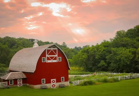 Backyard Gardening's New Wave: Brands to Know This Year