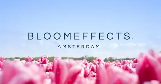 12 Essential Insights Before You Experience Bloomeffects