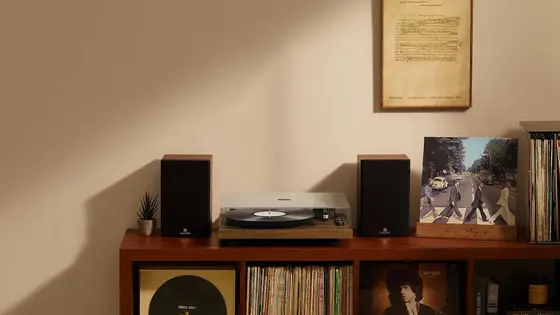 The Vinyl Revival