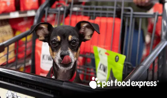 Pet Food Express 101: 14 Buys + Saving Plays Worth Trying