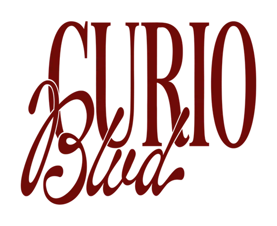 The Honest Take on Curio Blvd (From Someone Who Shops It)