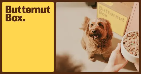 The Honest Comparison: Butternut Box and What Else Is Out There