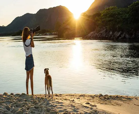 Zee Dog: An Honest Long Look at Pet Accessories