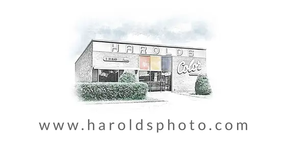 Harolds: From the Other Side of Checkout