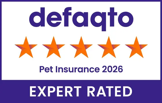 The Honest Take on Petgevity: A Pet Parent's Perspective