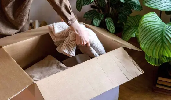 Master the Outbox Decluttering Method for a Tidy Home