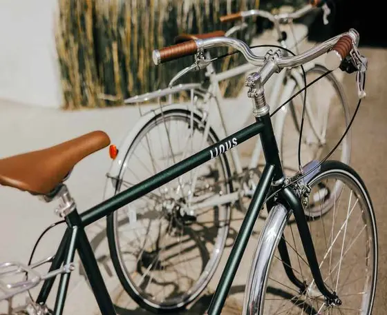 Linus vs the Rest: Which Bicycle Brand Actually Wins?