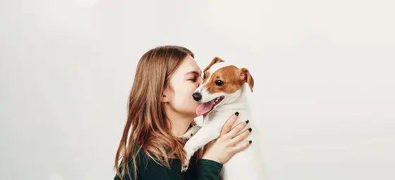 Choosing the Right Pet Gear: Rabbitgoo vs. Competitors