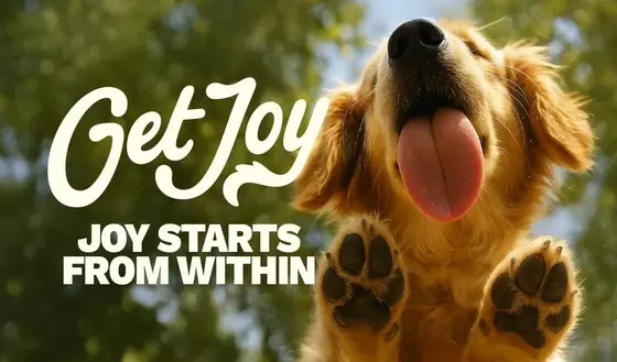 The Quiet Rise of Get Joy: A Fresh Take on Pet Nutrition