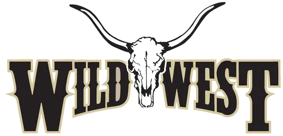 Choosing Between Wild West Boot Store and Its Top Competitors