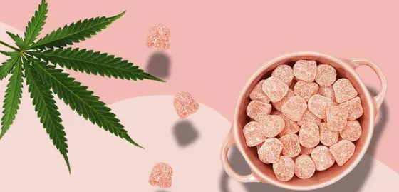 Picking Between Simply Crafted CBD and Its Closest Rivals