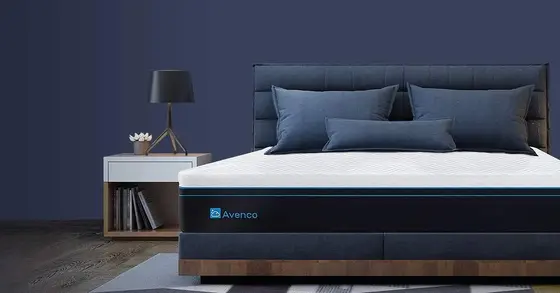 Choosing Between Avenco and Its Most Notable Competitors