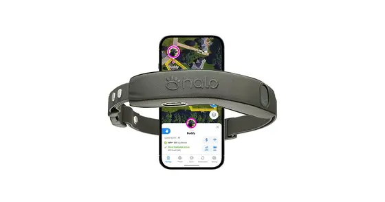 Halo Collar 2026: A Buyer's Reality Check