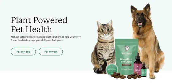 Shopping LolaHemp: 12 Tactics Regular Customers Actually Use