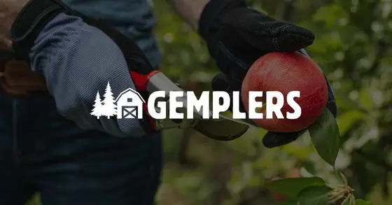 Transform Your Backyard: Brands Leading the Charge This Year