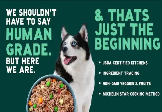 A Pup Above: An Honest Long Look at Fresh Dog Food
