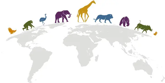 A Side-by-Side: Oakland Zoo Against the Competition