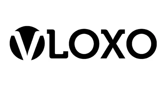 Discovering the Magic of VLOXO: Tools That Transform