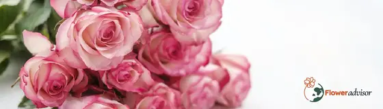 The Floral and Gift Landscape: What's Trending in 2023