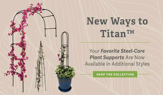 The Gardening Brands Quietly Changing How We Shop