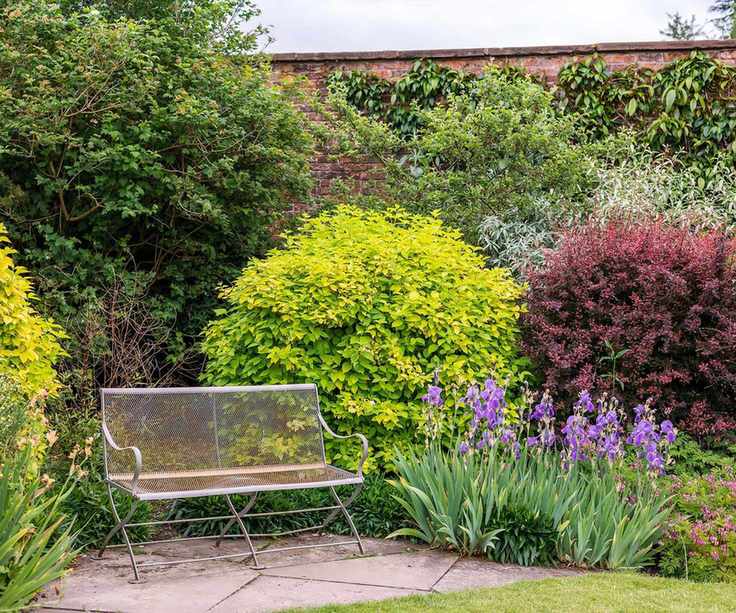 colorful shrubs along wall with bench