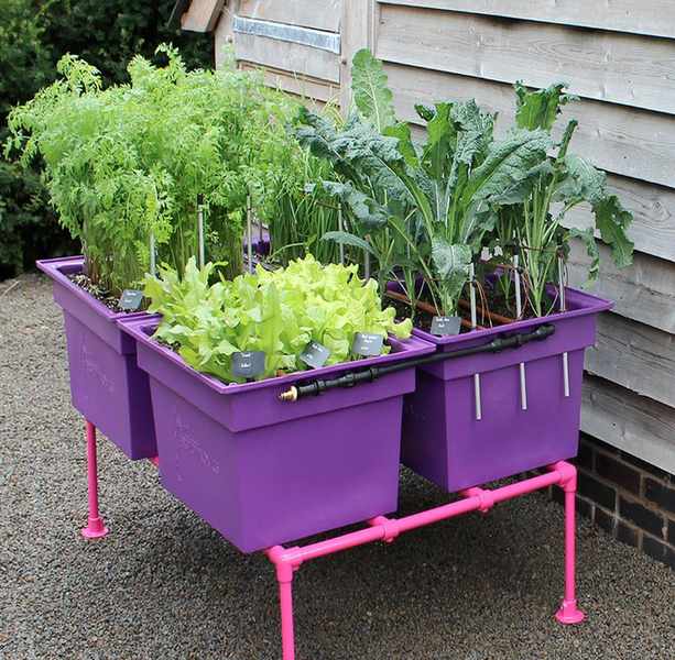 planting mistakes