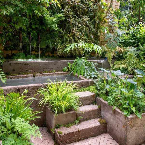 water feature design with tropical planting such as ferns and papaver
