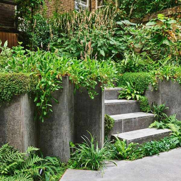 stone hardscaping with zig zag walls and garden steps, planted with ferns, ivy and groundcover plants