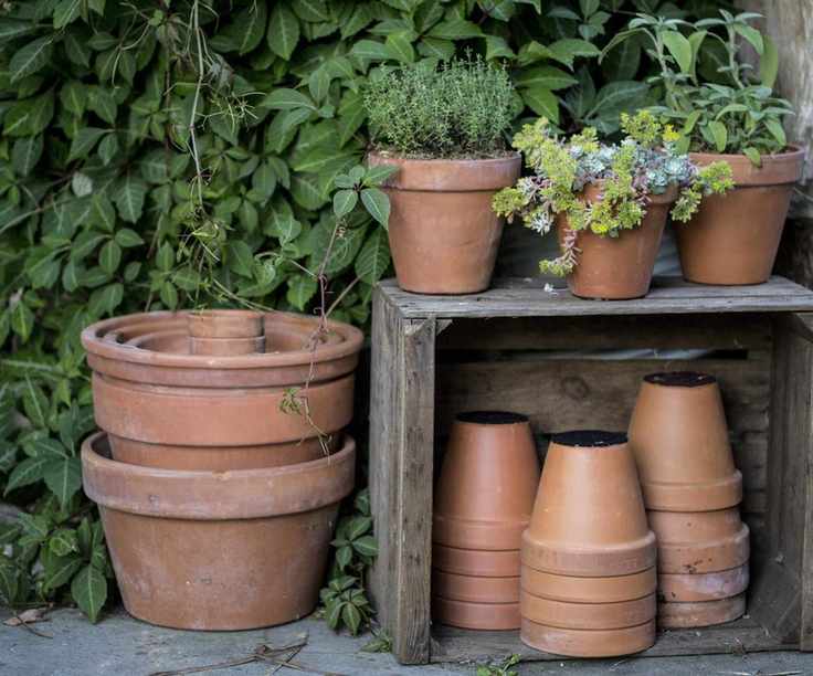 Terracotta pots