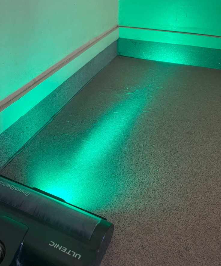 Ultenic U16 Flex revealing pet hair on gray floor