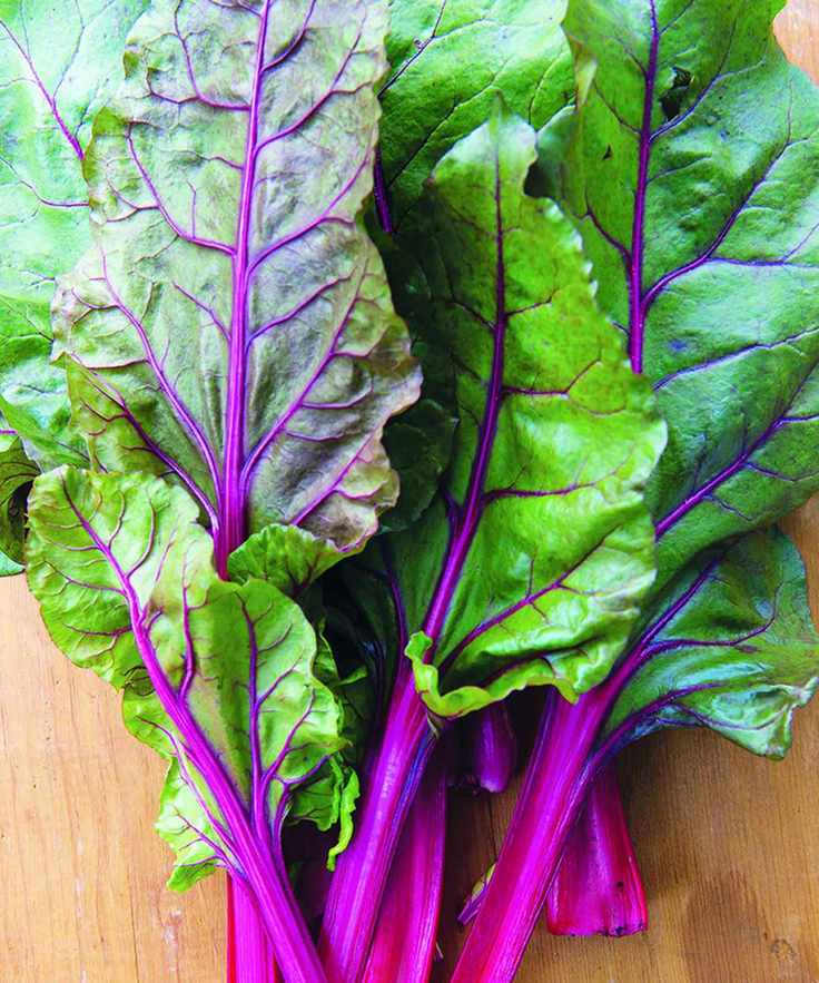 Swiss Chard on a wooden surface