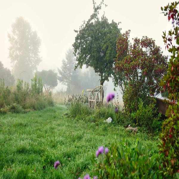 Flock Finger Lakes foggy morning