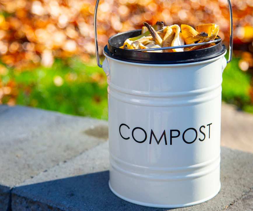 Banana peel compost