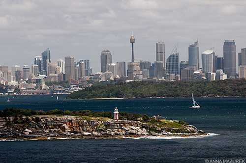 Mazurek_Sydney_500