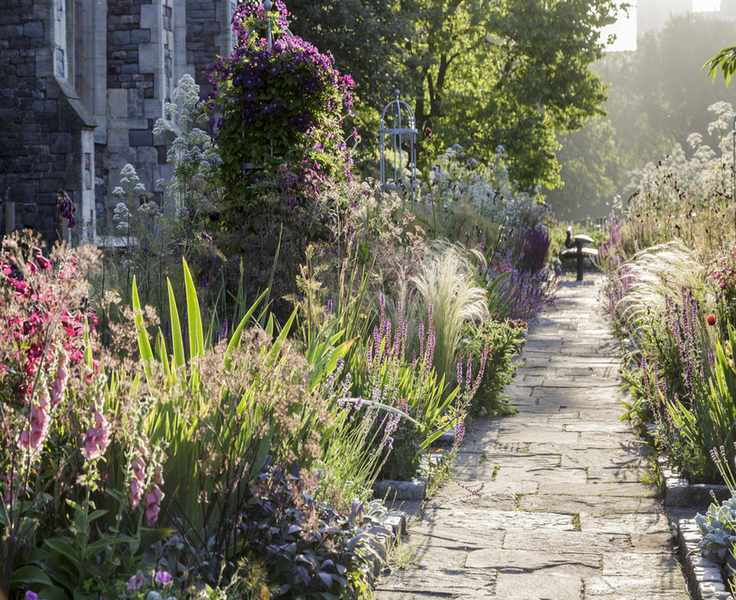 A stone pathway next to a large flowerbed full of purple flowers and green plants