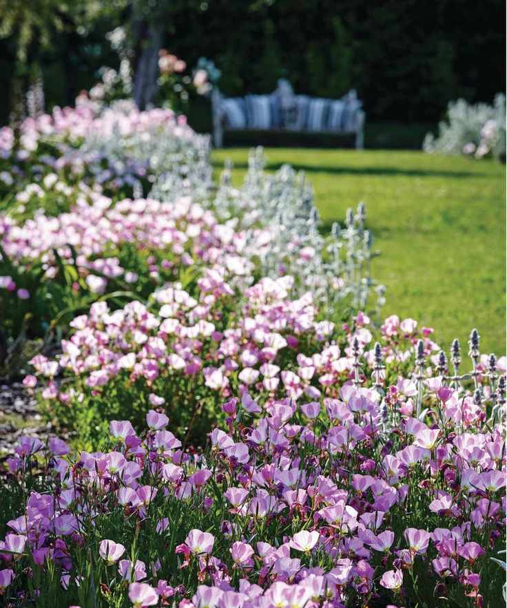 Garden border with pink flowers