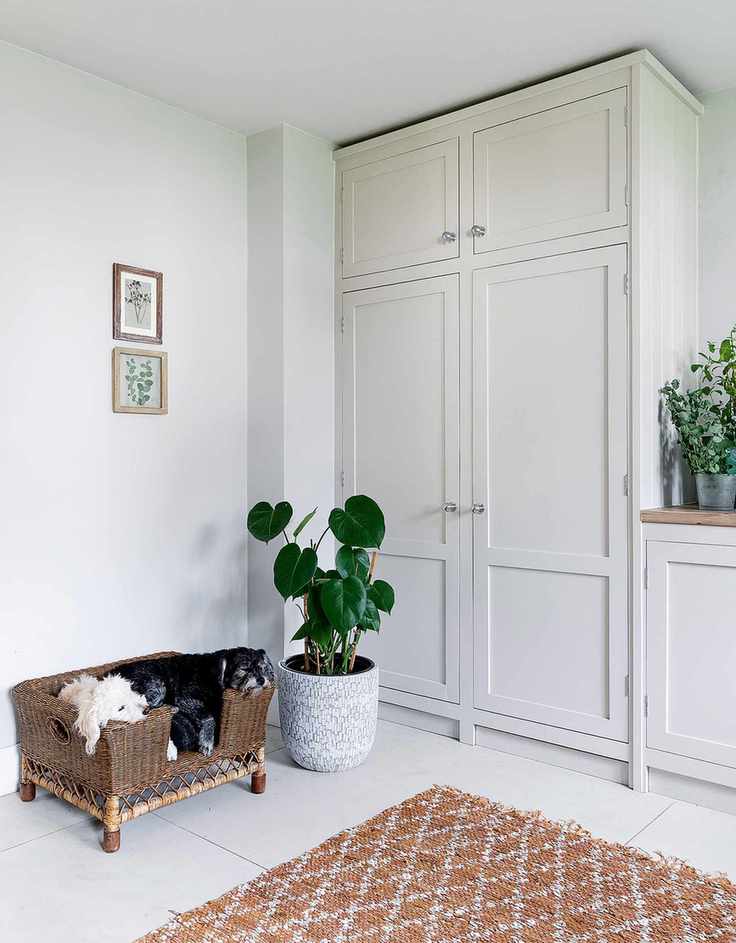 utility with white cabinets and plants with two dogs asleep in basket on floor